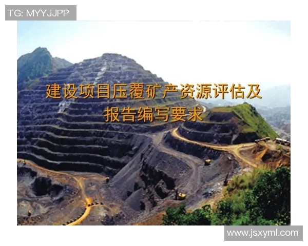 武汉乒乓球队员个人能力分析及表现评估研究报告